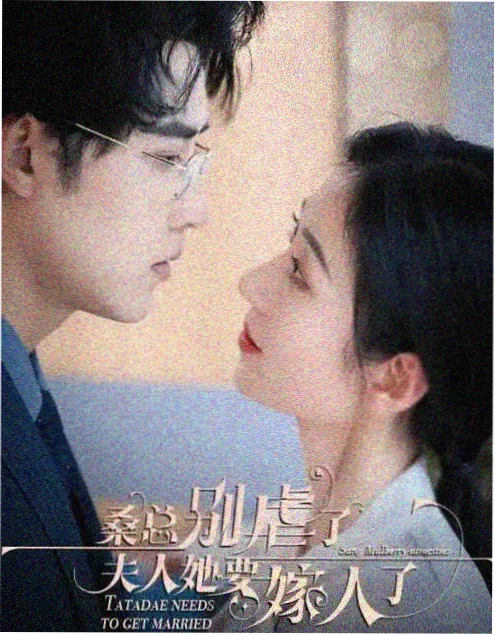 树洞里的秘密